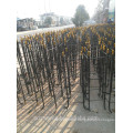 Yangzhou TIANXIANG 3-12m street light anchor bolts pole